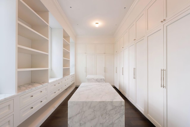 spacious closet featuring dark wood-style floors