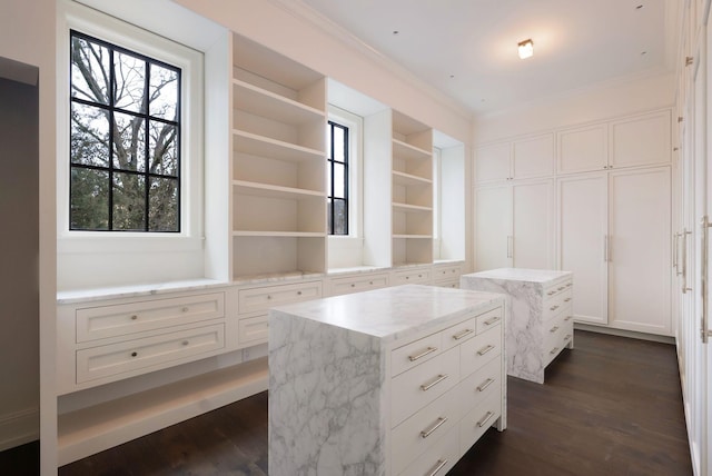 spacious closet with dark wood-style flooring