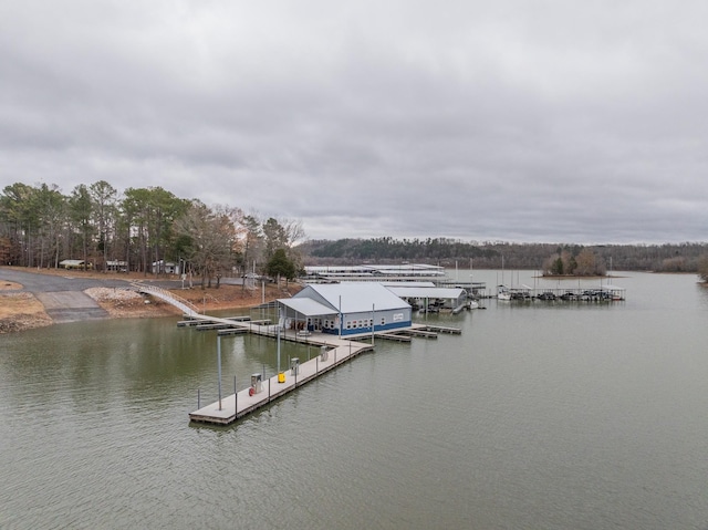 dock area featuring a water view