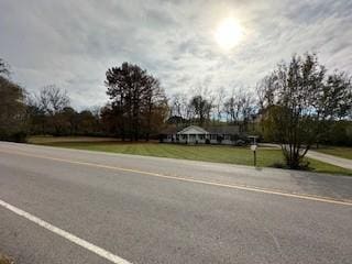 1337 Vanderbilt Rd, Mount Juliet, TN 37122 - view of asphalt road