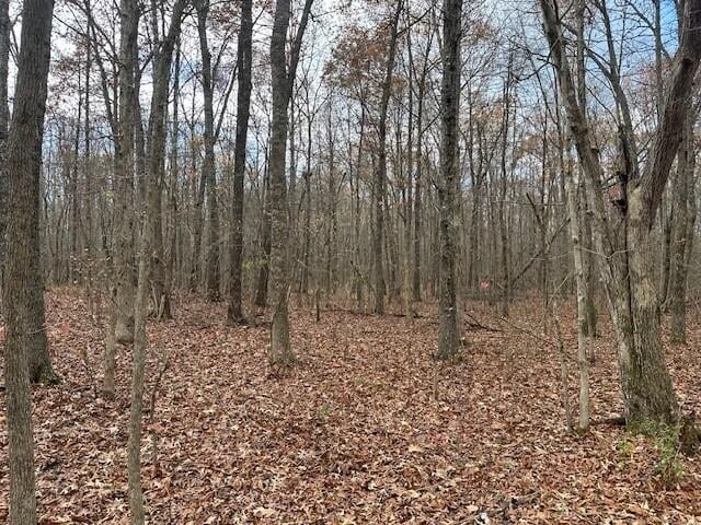 12 Prater Rd, Pikeville TN, 37367 land for sale