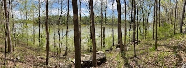 0A Patricia Cir, Indian Mound, TN 37079