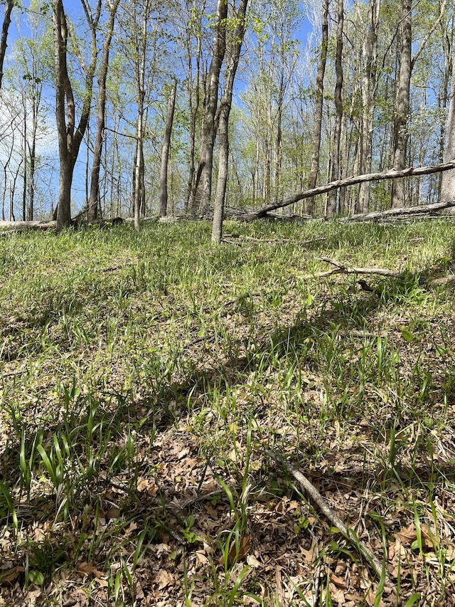 0A Patricia Cir, Indian Mound, TN 37079