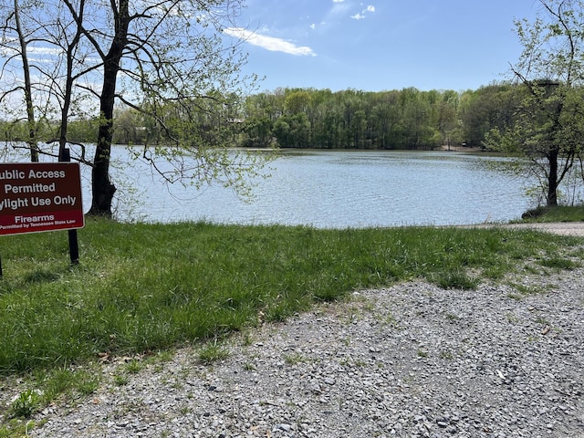 0A Patricia Cir, Indian Mound, TN 37079
