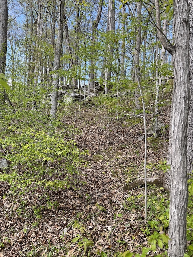 0A Patricia Cir, Indian Mound, TN 37079