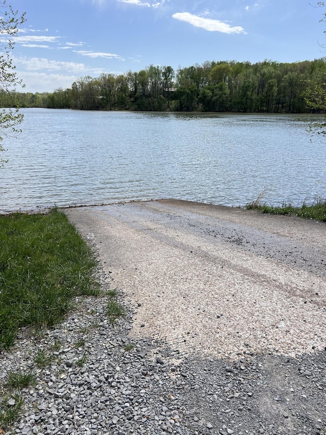 0A Patricia Cir, Indian Mound, TN 37079