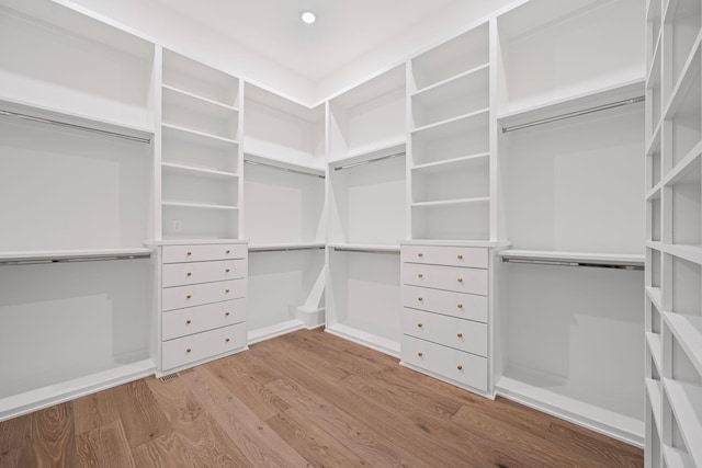 walk in closet with light wood-type flooring and visible vents