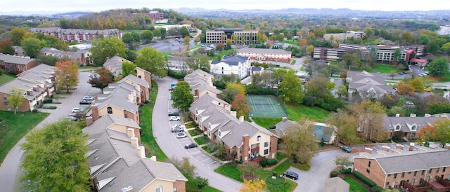 aerial view