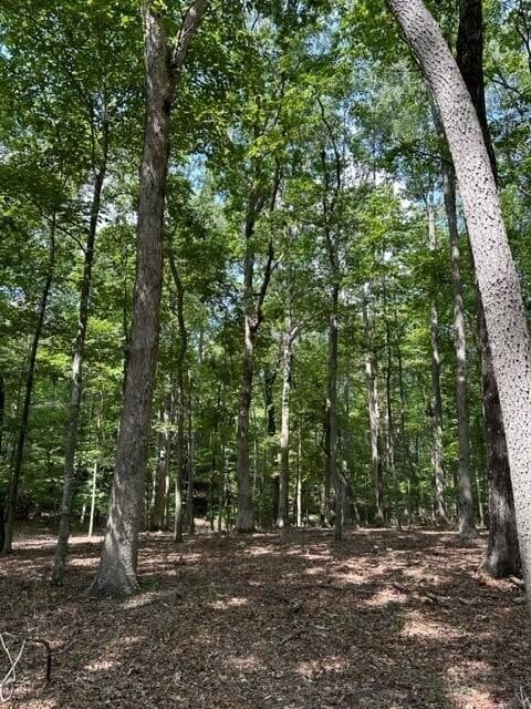 1 Eagle Rock Rd, Monteagle TN, 37356 land for sale