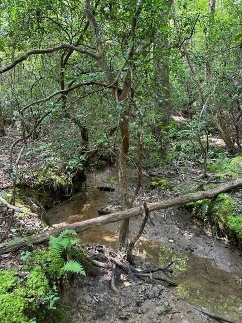 1 Eagle Rock Rd, Monteagle, TN 37356