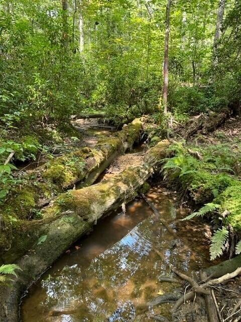 1 Eagle Rock Rd, Monteagle, TN 37356