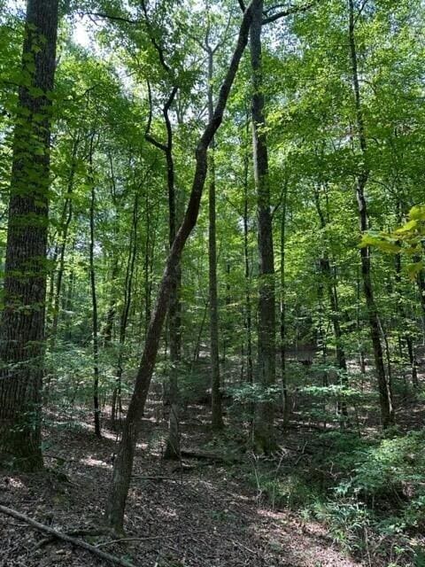 1 Eagle Rock Rd, Monteagle, TN 37356