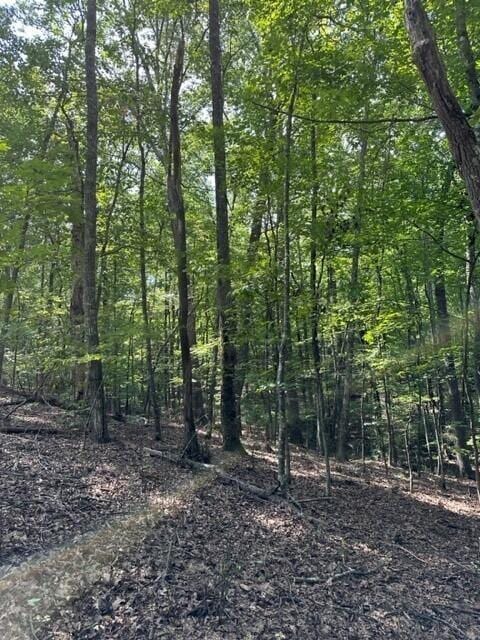 1 Eagle Rock Rd, Monteagle, TN 37356