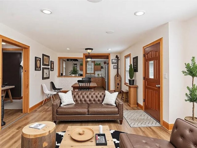 living room featuring light hardwood / wood-style floors