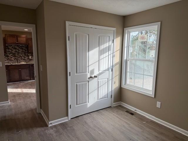 entrance foyer featuring a wealth of natural light and wood finished floors