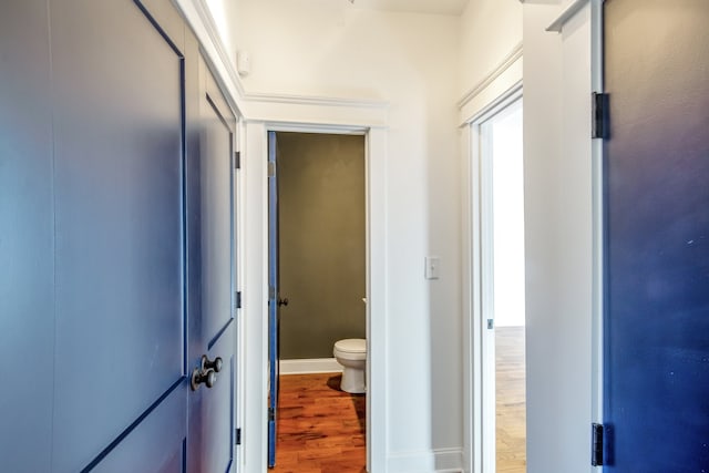 hallway with hardwood / wood-style floors