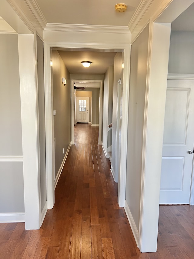 corridor with dark hardwood / wood-style flooring