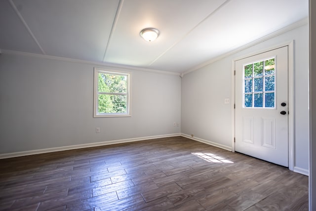 interior space with dark hardwood / wood-style flooring, plenty of natural light, and crown molding