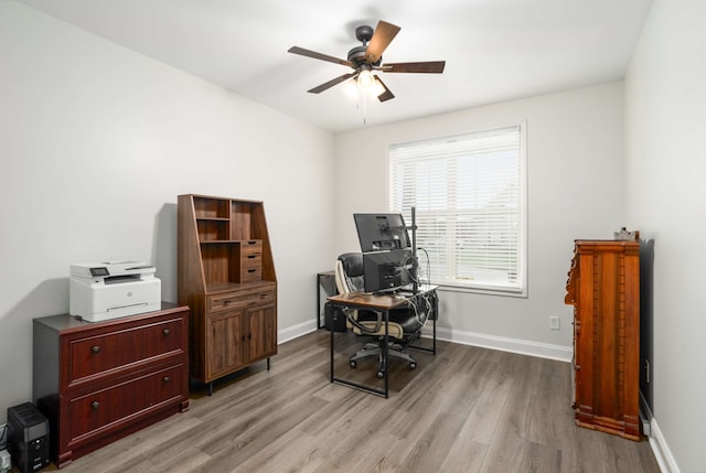 office featuring ceiling fan and light wood-type flooring