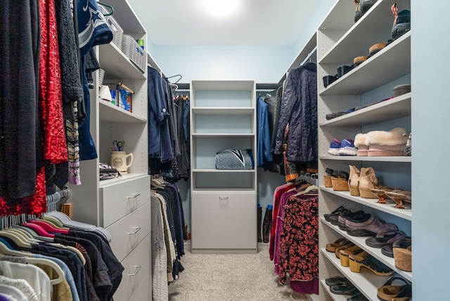 spacious closet featuring light colored carpet