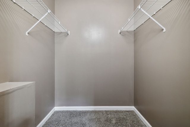 spacious closet with carpet flooring