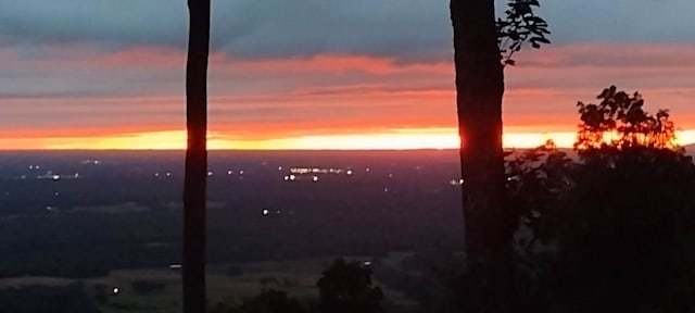 view of nature at dusk