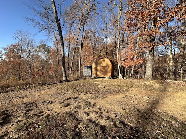 view of yard with a storage shed