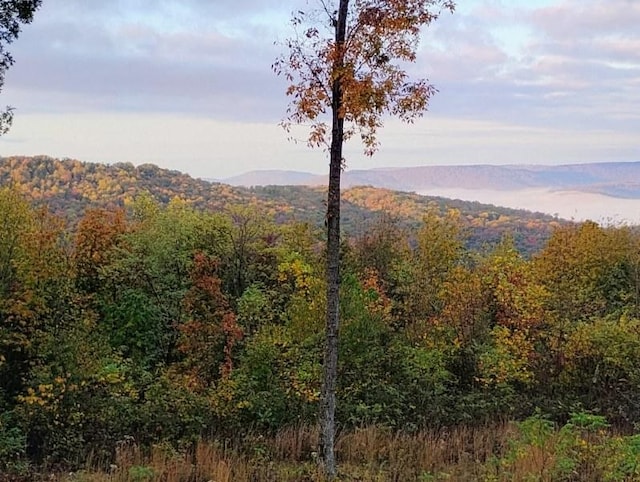 property view of mountains