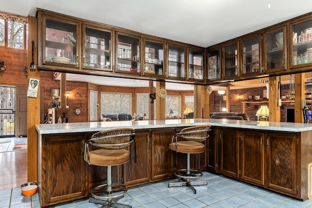 bar featuring wood walls and dark brown cabinets