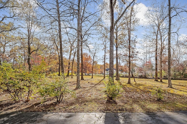 313 Big Rock Rd, Smithville, TN 37166 - photo 45