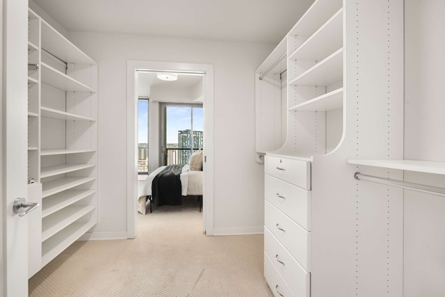 walk in closet with light colored carpet