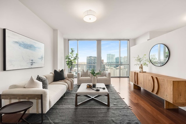 living room with a wall of windows, dark wood-type flooring, and a wealth of natural light