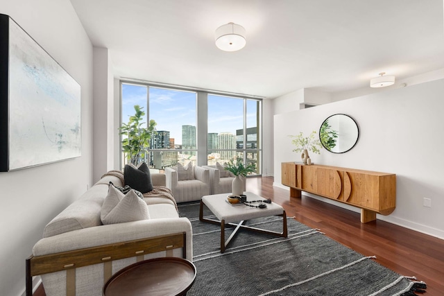 living room featuring expansive windows and dark wood-type flooring