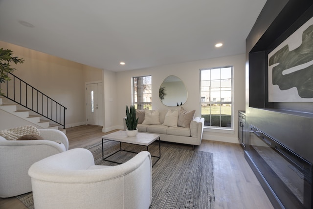 living room featuring wood-type flooring