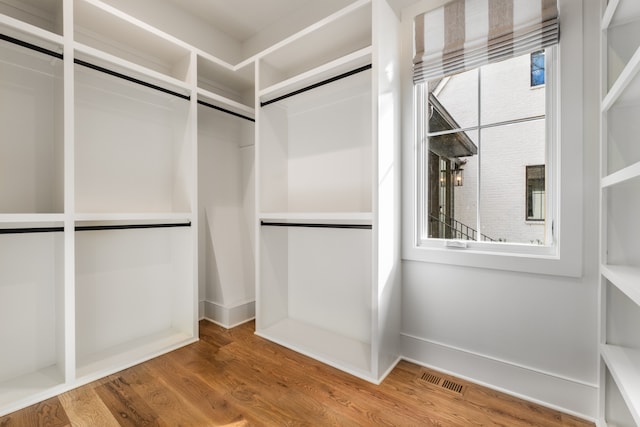 spacious closet with wood-type flooring