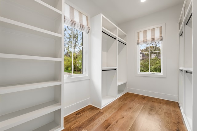 walk in closet featuring light hardwood / wood-style flooring