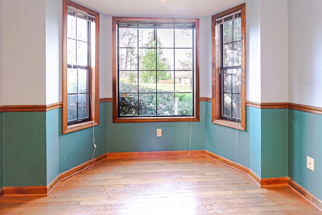 empty room with light hardwood / wood-style floors and a wealth of natural light