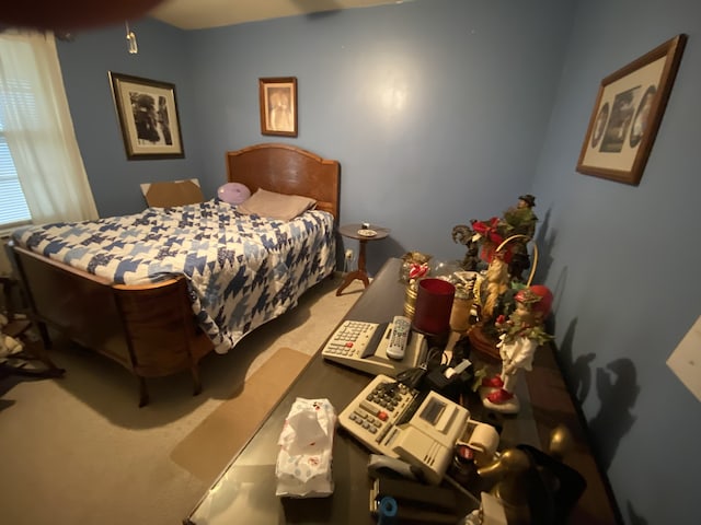 bedroom featuring carpet floors