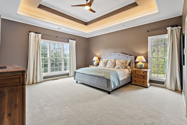 carpeted bedroom with a raised ceiling, multiple windows, and ceiling fan