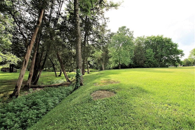 1406 Ottawa Pl, Murfreesboro, TN 37129 - view of grassy yard featuring view of scattered trees