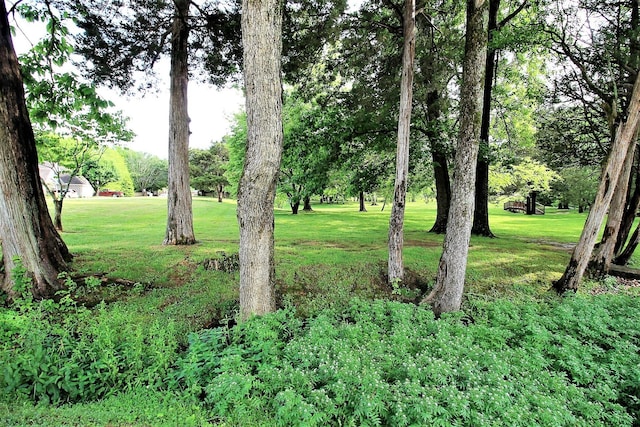 1406 Ottawa Pl, Murfreesboro, TN 37129 - view of green lawn