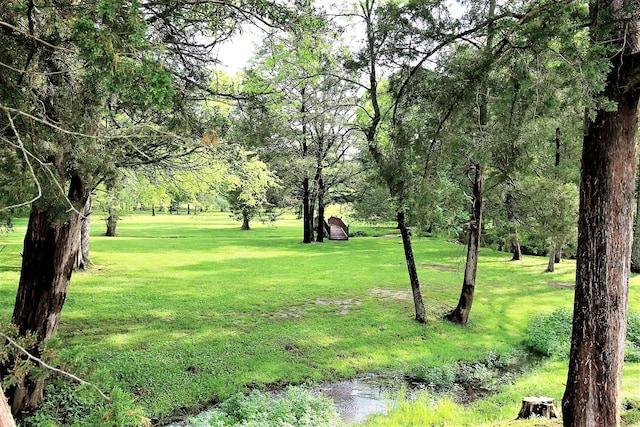 1406 Ottawa Pl, Murfreesboro, TN 37129 - view of green lawn