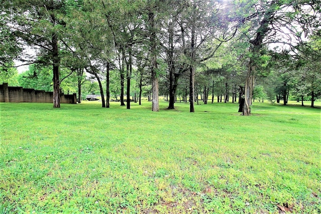 1406 Ottawa Pl, Murfreesboro, TN 37129 - view of grassy yard