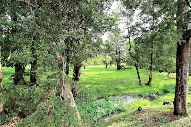 1406 Ottawa Pl, Murfreesboro, TN 37129 - view of local wilderness