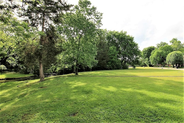 1406 Ottawa Pl, Murfreesboro, TN 37129 - view of home's community with view of scattered trees and a yard