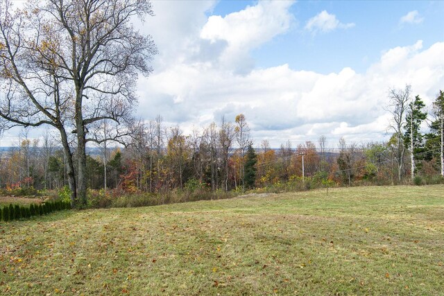 0 Whites Point Dr, Cookeville, TN 38506 - photo 8