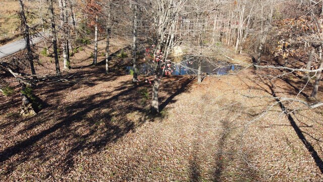 104 B V Young Rd, Westmoreland, TN 37186 - photo 27