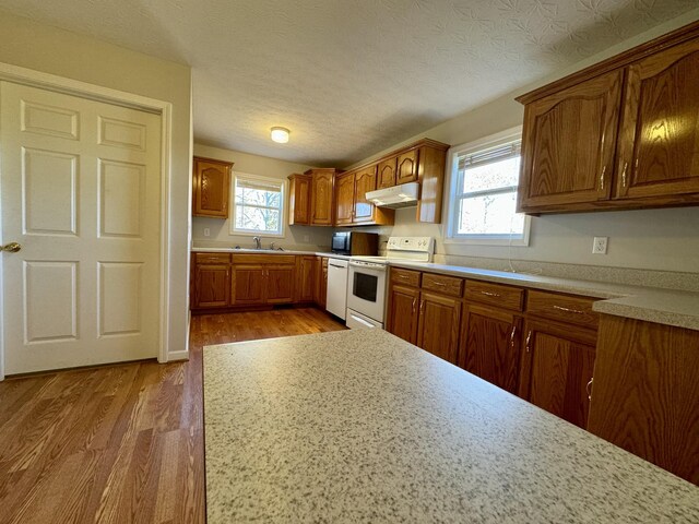 104 B V Young Rd, Westmoreland, TN 37186 - photo 3