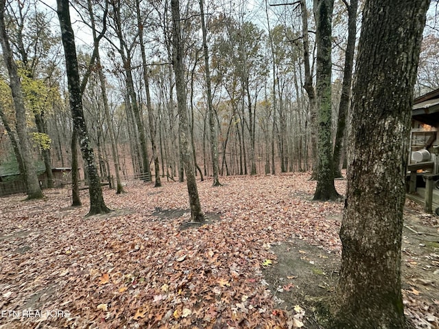 view of local wilderness