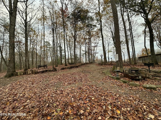 view of local wilderness